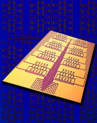 Figure 2. Photographie (prise au microscope optique) du circuit expérimental, montrant les huit commutateurs, composés de cinq résonateurs. © IBM
