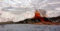 Les écoulements d'eau rouge du glacier Taylor. Source Commons
