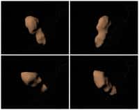 Les différentes faces de l'astéroïde 4179 Toutatis reconstituées à partir des données radar acquises lors des précédents rapprochements avec la Terre. Le 12 décembre, il sera au plus près de la Terre, soit 20 plus éloigné de nous que la Lune. © Nasa, JPL