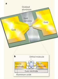 Un schéma du transistor constitué d'une molécule benzènique connectée à des contacts en or que les chercheurs ont réalisée. Crédit : Nature