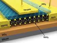 Un schéma montrant un transistor formé d'une couche de MoS2. © EPFL