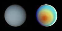 Uranus photographiée par la sonde Voyager 2 le 17 janvier 1986. L'image de droite est en fausses couleurs. © Nasa/JPL
