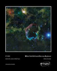 Zeta Ophiuchi fonce dans la constellation d'Ophiuchus, précédée d'une onde de choc qui repousse la poussière interstellaire. © Nasa/JPL-Caltech/Wise
