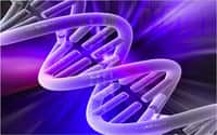 Le séquençage génétique devient peu à peu accessible au grand public. © AndreaLaurel, Flickr, CC by 2.0