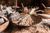 Au Néolithique, les humains ont appris des techniques pour transformer la nourriture, par exemple en la broyant, en la cuisant… © Stephen, fotolia