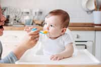 Les premiers aliments solides donnés à bébé sont mixés. © Galina Zhigalova, Adobe Stock