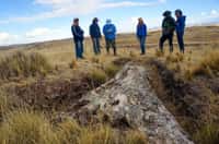 L'équipe de scientifique du Smithsonian Tropical Research Institute à côté du tronc fossilisé découvert dans sur le plateau des Andes au Pérou. © Rodolfo Salas Gismondi