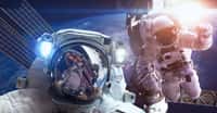 L'agence spatiale américaine lance un appel à candidatures pour devenir astronautes. La sélection finale sera faite en milieu d'année 2021. © Vadim Sadovski, Shutterstock