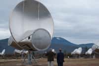 Une partie des 42 antennes du réseau de télescopes Allen, aux États-Unis. À terme, cet observatoire devrait compter 350 antennes. Il est essentiellement utilisé pour rechercher des formes de vie extraterrestres intelligentes. © Colby Gutierrez-Kraybill, Flickr, CC by 2.0