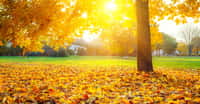 L'automne débute à l'équinoxe du même nom, le 21, le 22 ou le 23 septembre, selon les années. © Hagens_World flickr 2.0