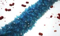 Sur cette image, les picots en bleu correspondent à des oxydes de manganèse qui ont été assemblés par des virus, de manière à augmenter la surface de la cathode d'une batterie Li-O2. Pour leur part, les boules argentées sont des particules de palladium. © MIT