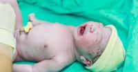 Des entreprises proposent de conserver les cellules du cordon ombilical de bébé pour environ 2.400 euros. © jack_photo, Shutterstock