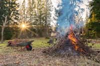 Interdiction de brûler les déchets verts ramassés au jardin. © stefanholm, Adobe Stock