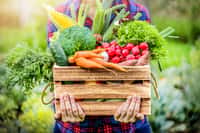 Près des deux tiers&nbsp;des fruits, légumes et céréales cultivés de façon « conventionnelle&nbsp;»&nbsp;contiennent des résidus de pesticides. © Milan, Adobe Stock