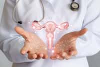 Grâce au plan de l'OMS, l'incidence du cancer du col de l'utérus dans le monde devrait diminuer. © natali_mis, Adobe Stock