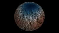 La détection des neutrons avec l’instrument GRaND, de la sonde Dawn, dans l’hémisphère nord de Cérès indique une plus grande proportion d’hydrogène près des pôles qu’aux basses latitudes. Les mesures suggèrent une présence d’eau dans cette région polaire, sous la surface, à moins d’un mètre de profondeur. © Nasa, JPL-Caltech, UCLA, ASI, INAF