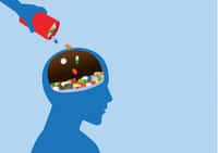 Le cerveau est séparé du reste de l'organisme par une barrière qui empêche certains médicaments d'être actifs, ce qui représente un frein pour le traitement des maladies neurologiques. © logo3in1, Adobe Stock