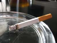 La cigarette serait responsable de 17 formes de cancers. © Tomasz Sienicki, Wikimedia Commons, CC by-sa 2.0