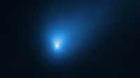Le 12 octobre 2019, le télescope spatial Hubble a observé la comète 2I/Borisov, alors à une distance d'environ 420 millions de kilomètres de la Terre. On pense que la comète est arrivée d'un autre système planétaire situé ailleurs dans notre Galaxie. © Nasa, ESA, D. Jewitt (UCLA)