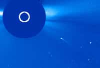 Une belle comète rasante qui fonce vers le Soleil, observée le 27 août 2020. © Nasa, ESA, Soho