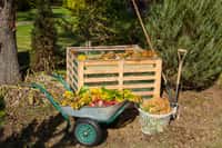 Fabriquer du compost dans son jardin est facile, écologique et économique. © Jbphotographylt, Adobe Stock