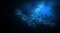 Plusieurs études travaillent sur la piste génétique pour expliquer les formes graves de Covid-19. © sasun Bughdaryan, Adobe Stock