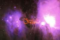 Grâce à cette nouvelle somme d'argent, le programme Seti, consacré à la recherche de vie extraterrestre, pourra notamment utiliser des radiotélescopes très prisés et sonder au mieux l'univers. Ici, une image composite en fausses couleurs prise dans le visible et le domaine radio montre la nébuleuse d'Orion et, en orange, les filaments observés par le radiotélescope de Green Bank.&nbsp;© S. Schnee,&nbsp;et al., B. Saxton, B. Kent (NRAO, AUI, NSF)