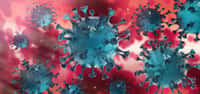 Le nouveau coronavirus serait plus contagieux que prévu initialement. © Peterschreiber.media, Adobe stock