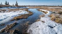 La fonte du permafrost en raison du réchauffement climatique nous fait entrer dans un inquiétant cercle vicieux. © Justlight, Adobe Stock (image générée avec IA)