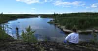 Canada : Paysage forestier traversé de rivières, émaillé de lacs, de zones humides et de forêts boréales, Pimachiowin Aki (« La Terre qui donne la vie ») fait partie des territoires ancestraux des Anishinaabeg, un peuple autochtone vivant de la pêche, de la chasse et de la cueillette. Il englobe des portions de territoires de quatre communautés Anishinaabeg (Bloodvein River, Little Grand Rapids, Pauingassi et Poplar River). Il s’agit d’un exemple exceptionnel de la tradition culturelle Ji-ganawendamang Gidakiiminaan (« garder la Terre ») qui consiste à honorer les dons du Créateur, respecter toute forme de vie et maintenir des relations harmonieuses avec autrui. Cette tradition se matérialise dans le paysage par un réseau complexe de sites de subsistance, de sites d’habitation, de routes et de sites cérémoniels, généralement reliés par des voies navigables. Texte Unesco (http://whc.unesco.org/fr/documents/123226). Photo : Pimachiowin Akin. © Hidehiro Otake, Pimachiowin Akin, tous droits réservésSitué à cheval entre les provinces du Manitoba et de l’Ontario, Pimachiowin Aki s’étend sur un peu moins d’un quart des territoires occupés par les quatre Premières nations Anishinaabeg. Leur vision de l’univers dote les éléments du monde naturel d’une vie propre et donne ainsi un sens à l’existence humaine sur ces terres occupées par leurs ancêtres autochtones il y a 7.000 ans. C’est « un pays où Anishinaabeg et tous les autres êtres sont compris et protégés comme un seul. »Au cœur du bouclier boréal nord‑américain, le paysage forestier est traversé de rivières, émaillé de lacs et de zones humides. Il s’étend sur 2,9 millions d’hectares. Pimachiowin Aki abrite une diversité exceptionnelle d’écosystèmes terrestres et d’eau douce. Cet environnement offre les conditions adéquates aux espèces boréales caractéristiques comme le caribou des bois, l’orignal, le loup, le carcajou, l’esturgeon jaune, la grenouille léopard, le huart à collier et la paruline du Canada. Les incendies sauvages, dans leurs processus écologiques essentiels et naturels ont aussi contribué à maintenir cette impressionnante biodiversité et continuent de la façonner. L’ensemble du bien est protégé contre l’exploitation forestière, l’activité minière et le développement hydroélectrique et toutes les voies navigables de Pimachiowin Aki sont exemptes de barrages et de détournements.