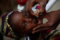 Enfant recevant une dose du vaccin oral contre la poliomyélite au Nigéria. Avec seulement quelques doses comme celle-ci, les vaccins peuvent prévenir la maladie pour toute une vie. © Gates Foundation, Flickr, cc by nc nd 2.0