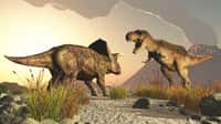 Le tricératops et le tyrannosaure font partie des dinosaures les plus connus. Eux datent de la fin du Crétacé mais d'autres sont apparus avant, au Trias, qui marque la montée en puissance des dinosaures. Leur apparition aurait été très rapide. © Computer Earth, Shutterstock