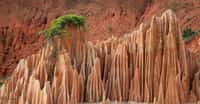 Paysage de Madagascar. © Antoine - Tous droits réservés