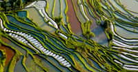 Les plus spectaculaires rizières en terrasses de Yuanyang. © Isabelle Chauvel, CC by-nc 2.0 