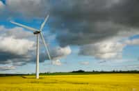 Une éolienne dans un champ. La part de l'énergie éolienne dans le mix énergétique est amenée à se développer dans les prochaines décennies. © Marc Lagneau, cc by nc 2.0