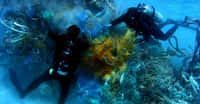 Les déchets plastique en mer, un septième continent ? Ici, plongeurs nettoyant les fonds marins. © NOAA, DP