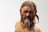 Ötzi, momifié naturellement dans la glace, a vécu il y a environ 4.500 ans et portait avec lui, outre ses vêtements, des outils, un arc et des flèches, tous très bien conservés. Des traces de sang appartenant à quatre individus différents ont été trouvées sur lui. Bref, une magnifique énigme scientifique pour les enquêteurs d'aujourd'hui. © DR
