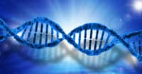 ADN de nos cellules.&nbsp;© PublicDomainPictures - Domaine public