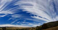 Cirrus nuage se trouvant dans la couche supérieure de la troposphère.&nbsp;© Fir0002 -&nbsp;CC BY-NC 2.0