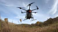 Ce drone peut planter 40.000 arbres par jour. © AirSeed Technologies