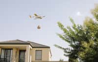 Drone de livraison du project Wing à l'essai ici en Australie. © Google