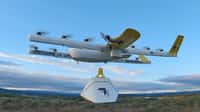 A ce jour, Wing est l’entreprise ayant effectué le plus grand nombre de livraisons par drone. © Wing Aviation