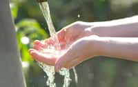 En juillet, le gouvernement a annoncé la levée des taxes sur l’eau en bouteille et la distribution de deux litres d’eau gratuite par jour à 21 000 familles pauvres ou vulnérables.© asferico, Adobe Stock