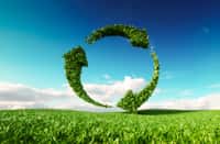 Réutiliser, réemployer et recycler sont les maîtres-mots de la loi anti-gaspillage et de l'économie circulaire. © Malp, Adobe Stock