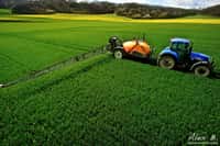 En 2011/2012, 5,7 millions de tonnes d’engrais azotés ont été utilisées en France (chiffre des Chambres d’agriculture). © AgriParisPictures, Flickr, cc by sa 2.0