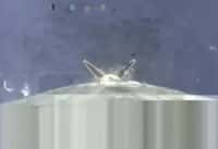 Cette capture d'image de la vidéo de descente du premier étage du Falcon 9 montre que les quatre pieds (deux à l'image) se sont correctement déployés en vol. © SpaceX