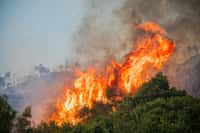 Pour les experts des feux et du climat, il n'y a aucun doute que la fréquence et l'intensité des feux méditerranéens sont plus grandes en raison du réchauffement climatique. © ververidis, Adobe Stock