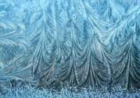Du gel fractal sur une vitre aux États-Unis. © StuartRoyse