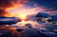  La Sibérie est en train de changer de climat, avec des températures de 40°C avant même le début de l'été. © Distinctive Images, Adobe Stock