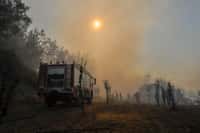 La Grèce brûle depuis plusieurs jours, les pompiers font de leur mieux pour maîtriser le feu. © thelefty, Adobe Stock